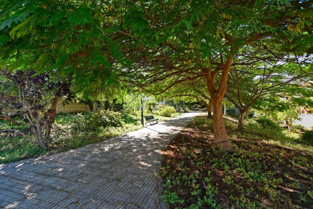 Apartamentos Lavanda Puerto de la Cruz  Exteriör bild